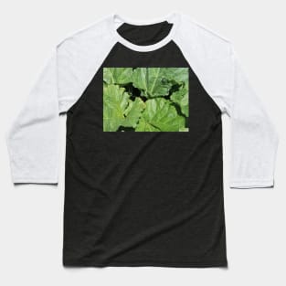 Rhubarb Leaves Baseball T-Shirt